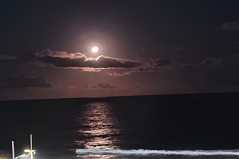 Art Studio - Beira Mar Praia de Armação - 729